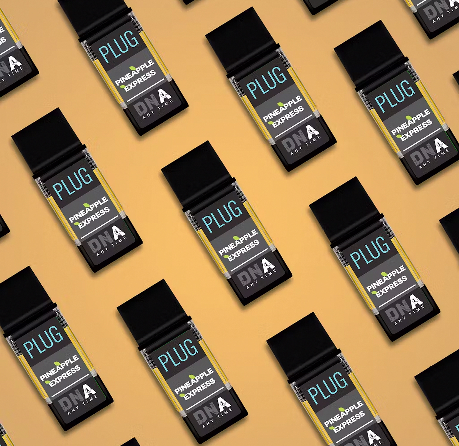 PLUG DNA: Pineapple Express 2 PLUG DNA: Pineapple Express - Image 2