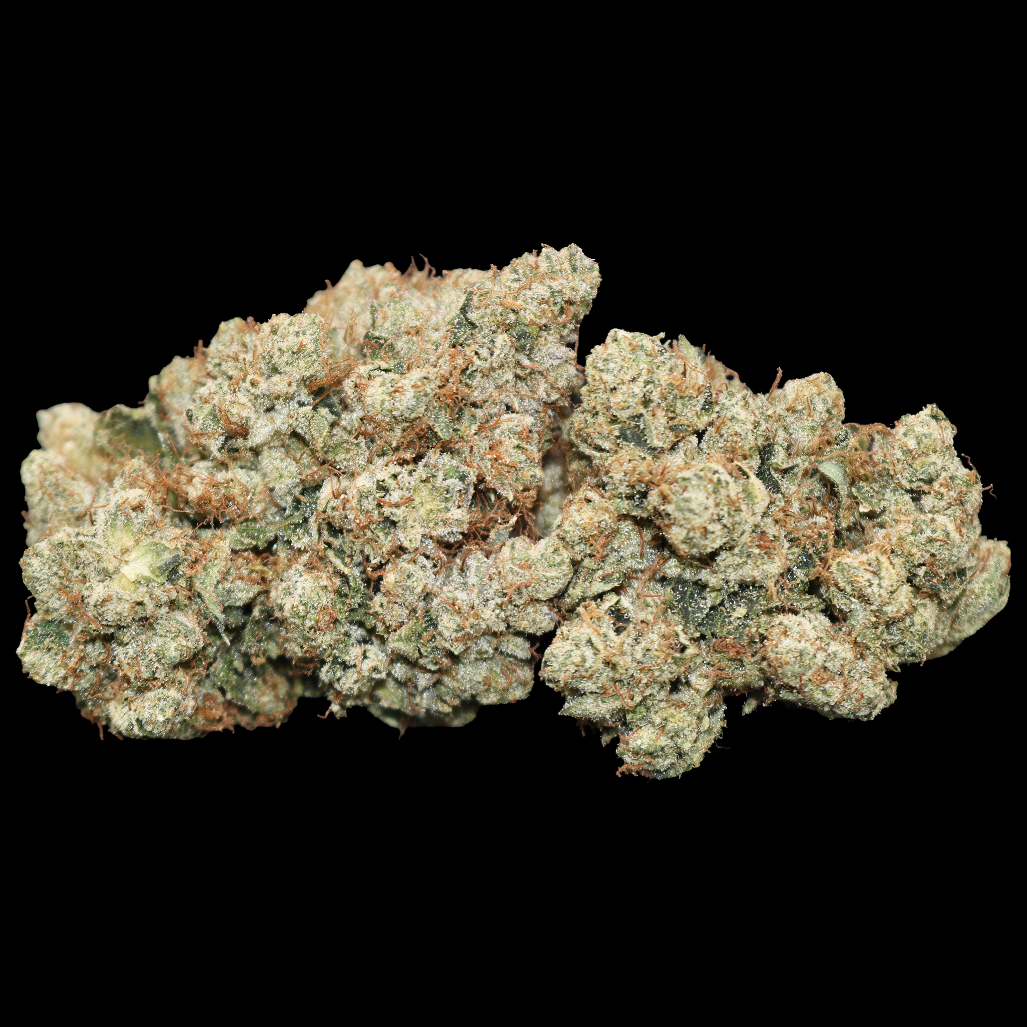 True OG 2 True OG - Image 2