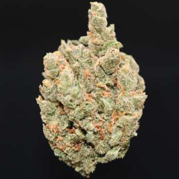 Candy Jack - ($150 Oz. Deal)