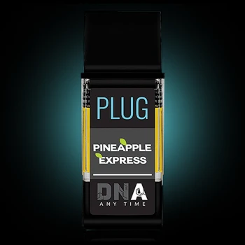 PLUG DNA Pineapple Express
