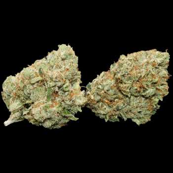 Jet Fuel OG 3 Jet Fuel OG 1