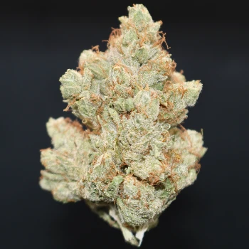 Jet Fuel OG