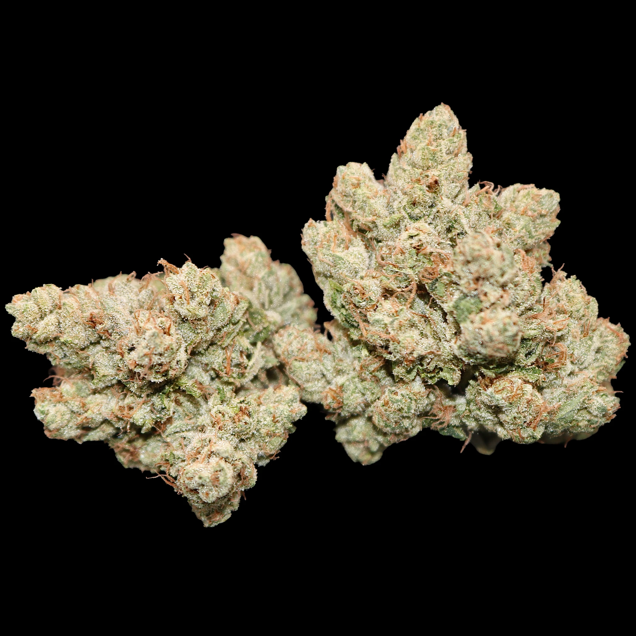 Mega Wellness OG 2 Mega Wellness OG - Image 2