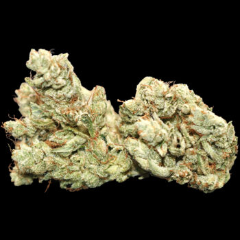 White Gorilla - ($200 Oz. Deal) 5 White Gorilla - ($200 Oz. Deal) - Image 3