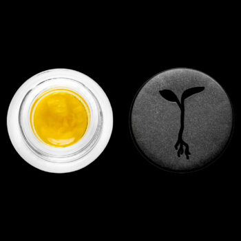 Raw Garden - Diesel Jack Live Sauce (1G) 5 Raw Garden - Diesel Jack Live Sauce (1G) 2