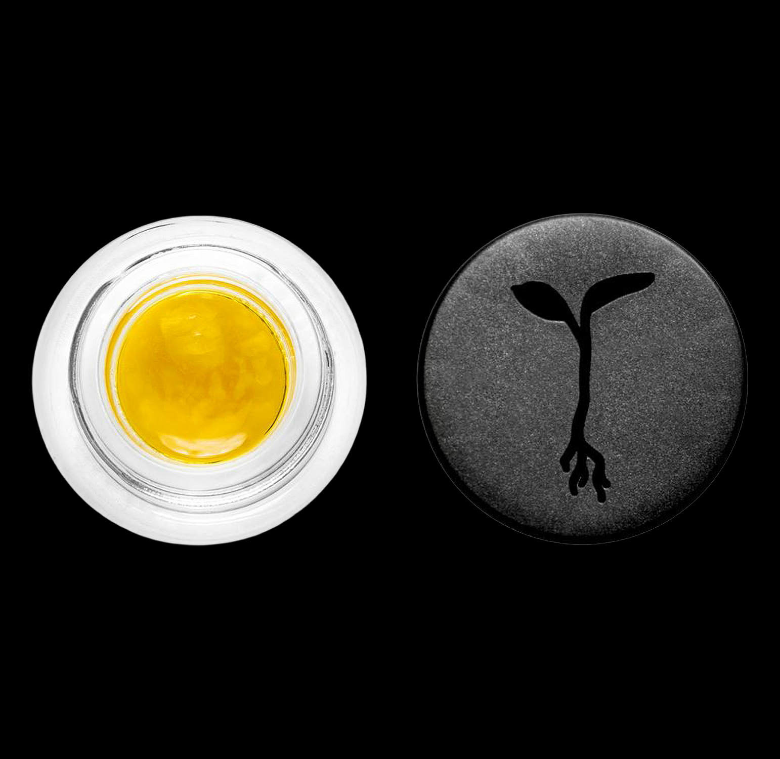 Raw Garden - Diesel Jack Live Sauce (1G) 3 Raw Garden - Diesel Jack Live Sauce (1G) - Image 3