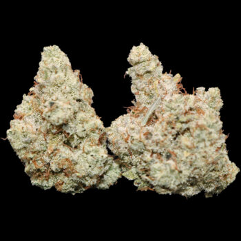 Gorilla Glue #4 3 Gorilla Glue #4 1
