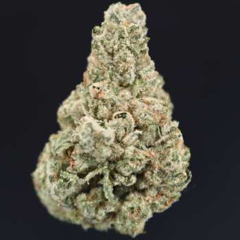 Jedi OG - ($200 Oz. Deal)