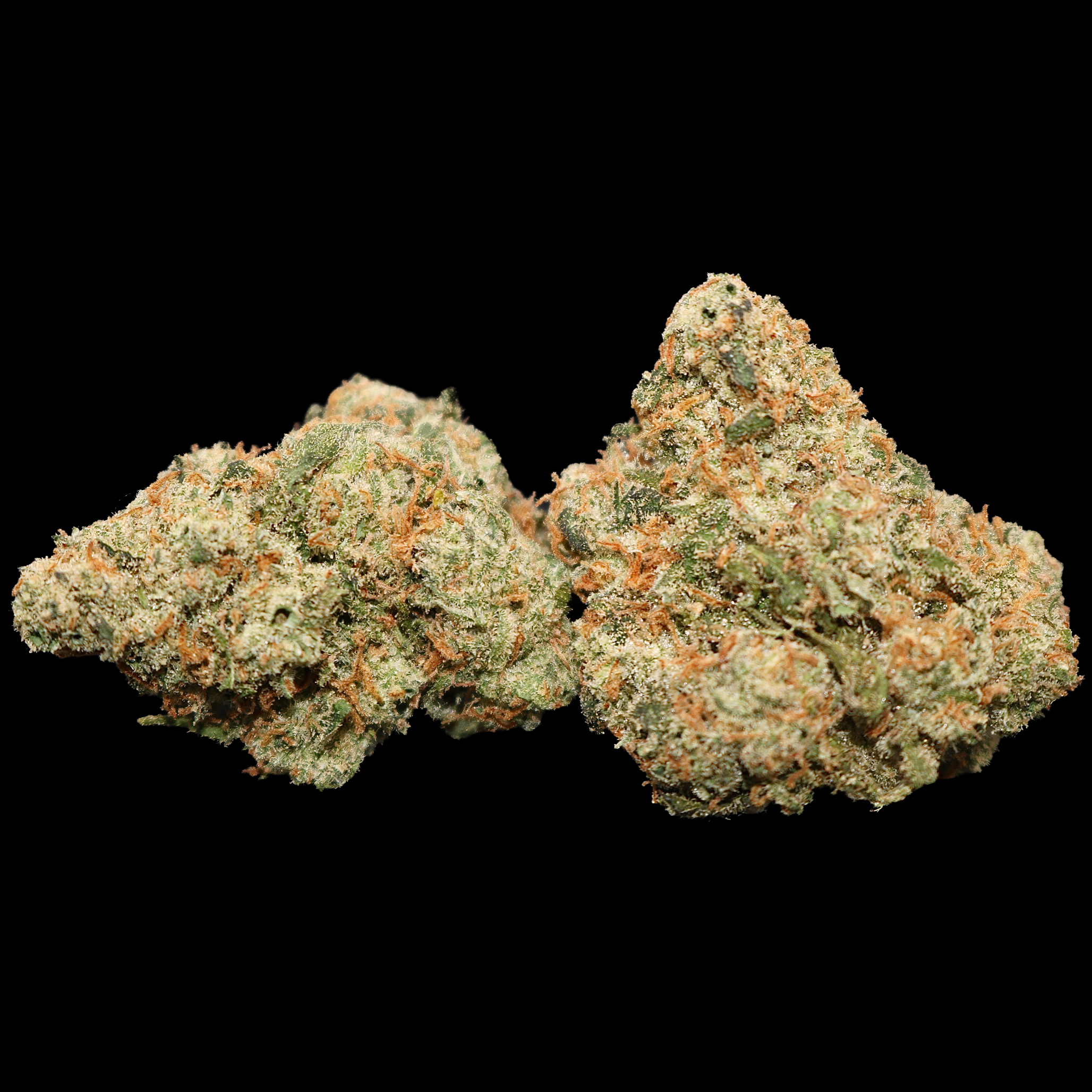 Super Jack - ($200 Oz. Deal) 2 Super Jack - ($200 Oz. Deal) - Image 2