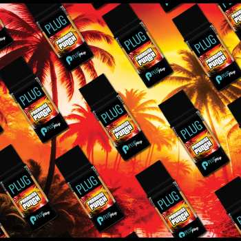 PLUG Exotics: Paradise Punch 3 PLUG Exotics: Paradise Punch 1