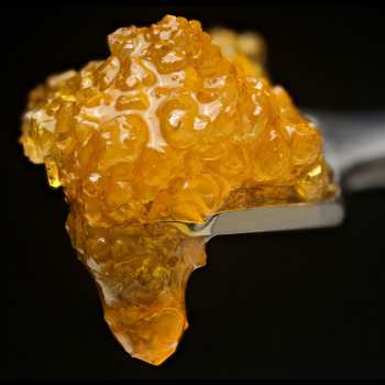 Concentrates