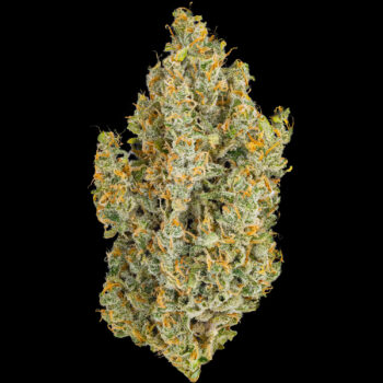 Heirbloom Legacy Flower - Durban Poison 3.5G 6 Heirbloom Legacy Flower - Durban Poison 3.5G - Image 2