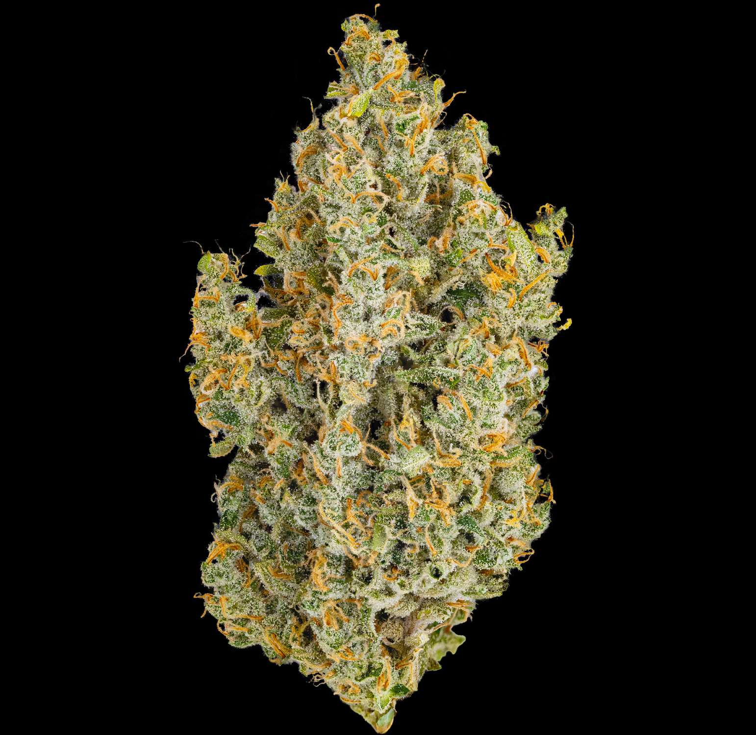Heirbloom Legacy Flower - Durban Poison 3.5G 2 Heirbloom Legacy Flower - Durban Poison 3.5G - Image 2