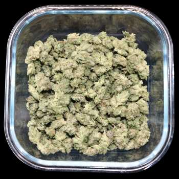 Gorilla Glue Small Buds - Get 1 Oz. for $99