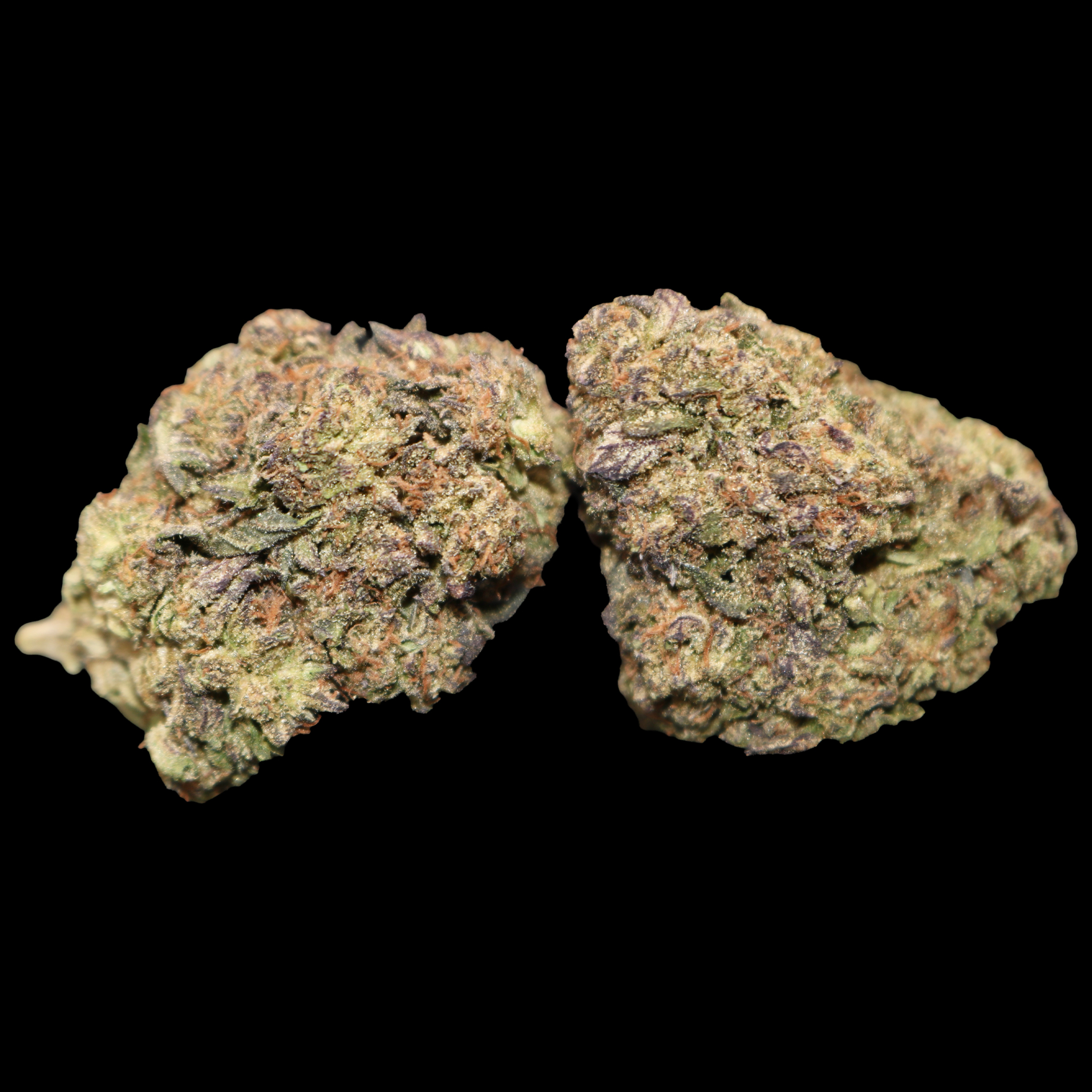 Lemon Cherry Gelato 2 Lemon Cherry Gelato - Image 2