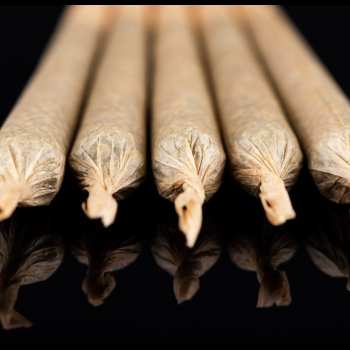 Pre-Rolls