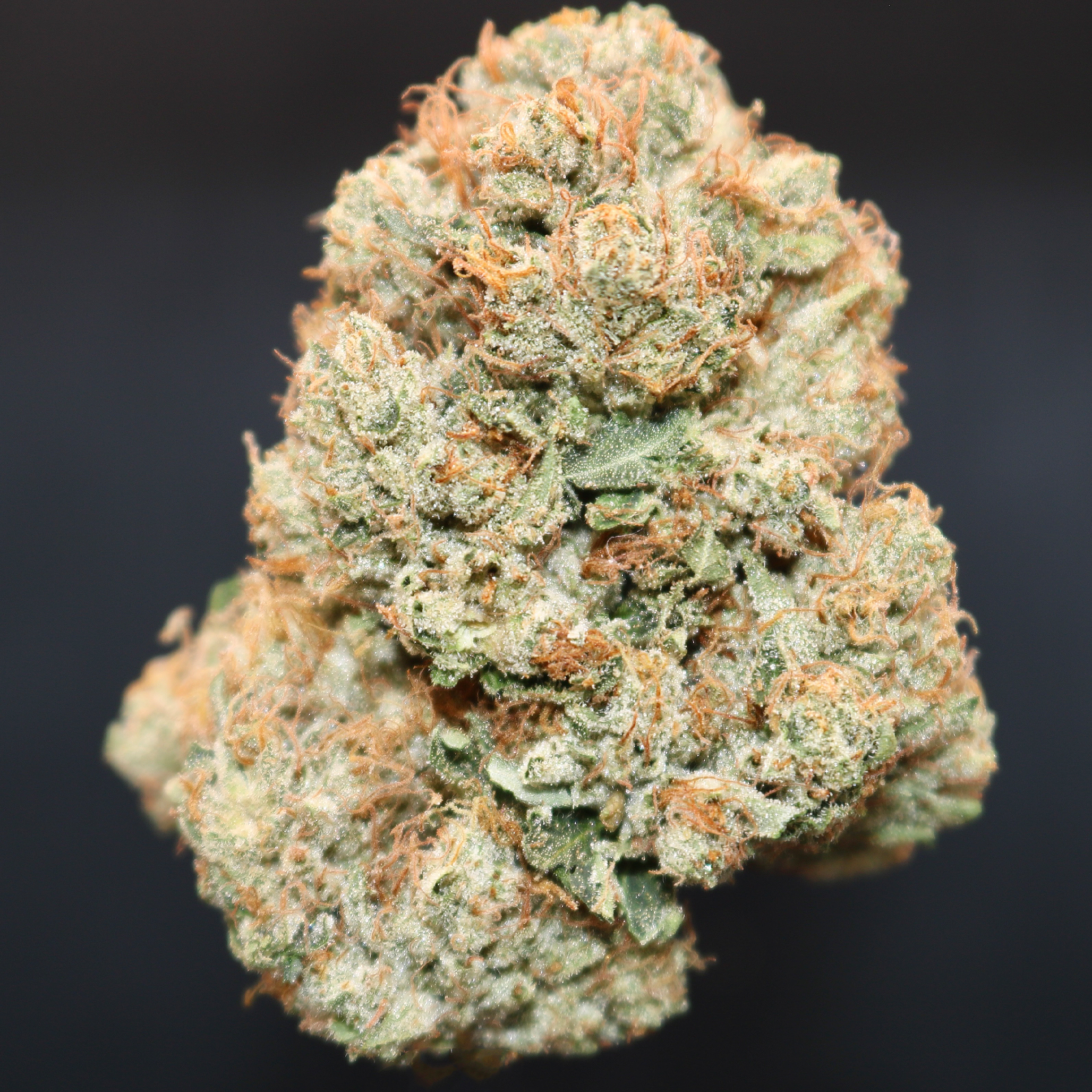 Billy Kimber OG 1 Billy Kimber OG