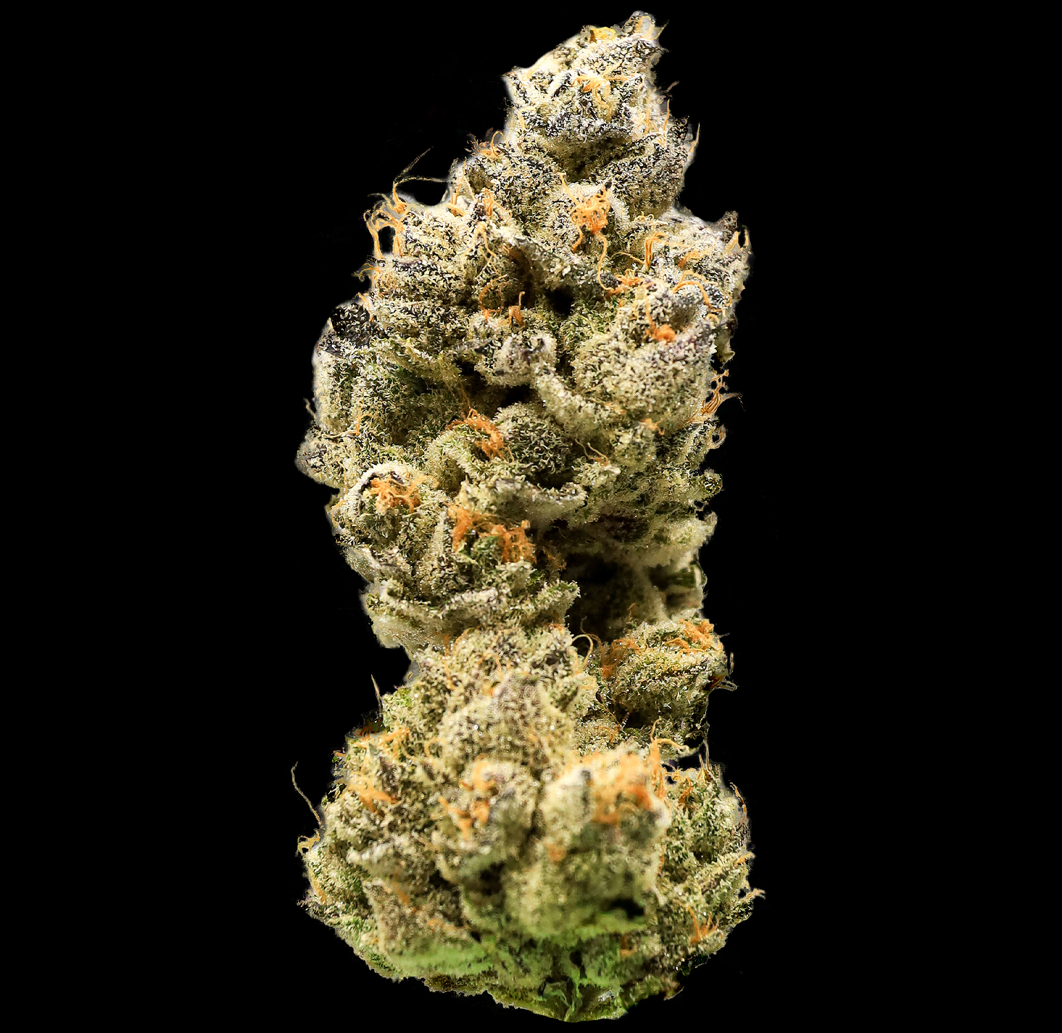 Cannabiotix - ZAtomic Premium Flower 3.5G 2 Cannabiotix - ZAtomic Premium Flower 3.5G - Image 2