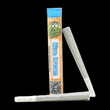 Eighth Brother - Blue Dream Preroll (1g)