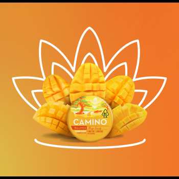 Camino Mango Serenity CBD 5:5 'Balance' Gummies 3 Camino Mango Serenity CBD 5:5 'Balance' Gummies 1