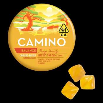 Camino Mango Serenity CBD 5:5 'Balance' Gummies