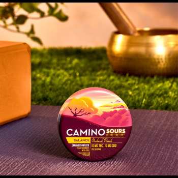 Camino Sours 5:5 CBD Orchard Peach 'Balance' Gummies 3 Camino Sours 5:5 CBD Orchard Peach 'Balance' Gummies 1