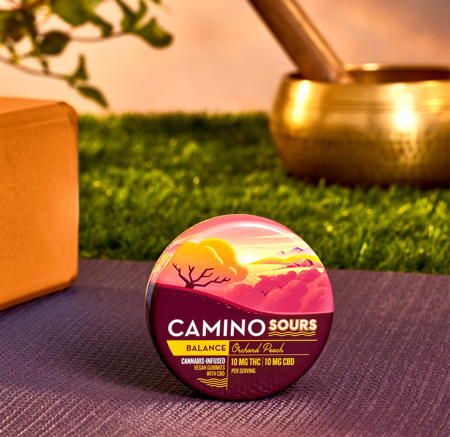 Camino Sours 5:5 CBD Orchard Peach 'Balance' Gummies 2 Camino Sours 5:5 CBD Orchard Peach 'Balance' Gummies - Image 2