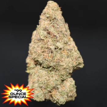 Gelato Runtz - ($99 Oz. Deal)