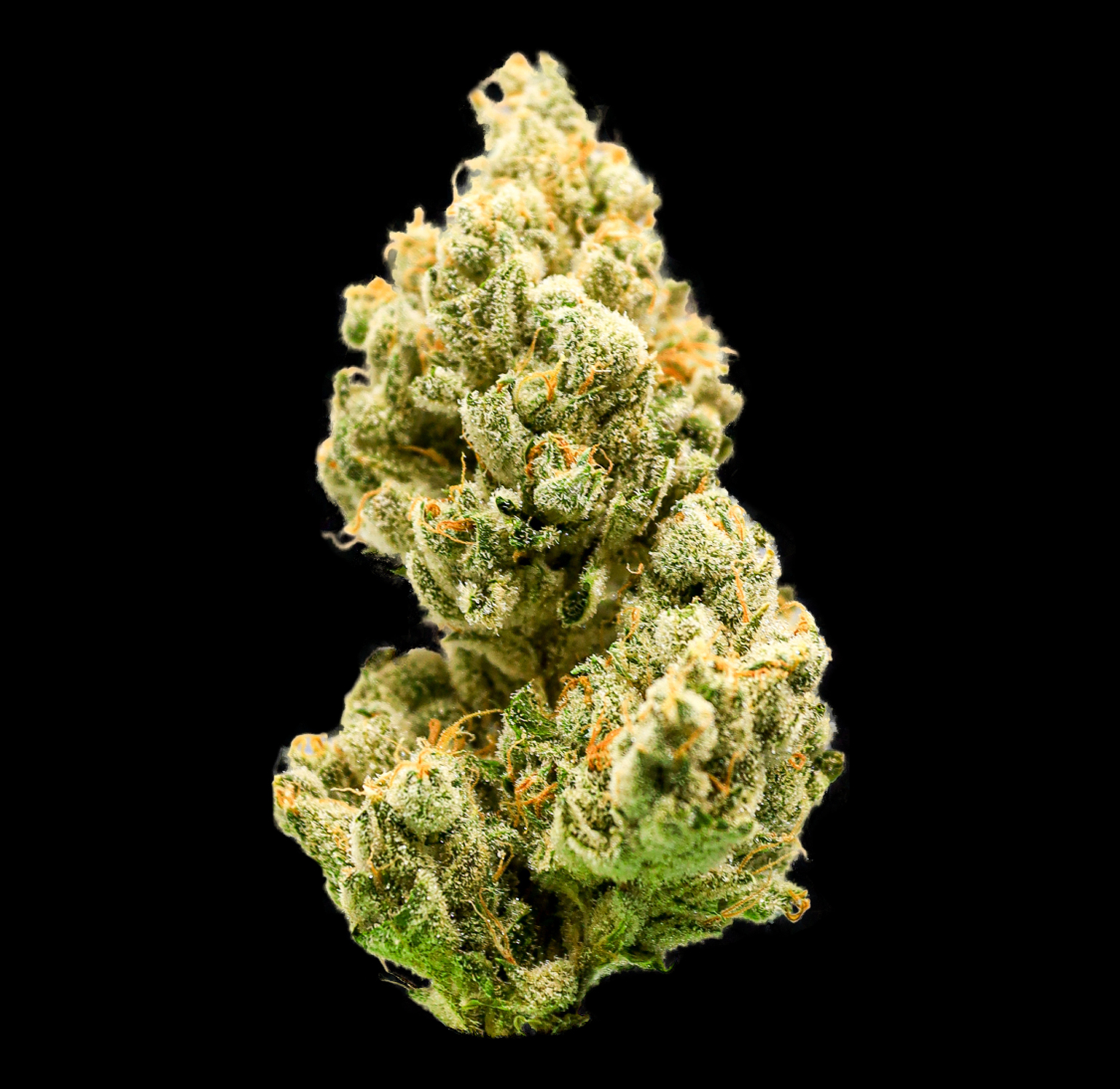 Cannabiotix – Head Change Premium Flower 3.5G 2 Cannabiotix – Head Change Premium Flower 3.5G - Image 2