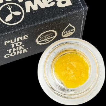 Raw Garden - Wave Rider Live Resin (1G)