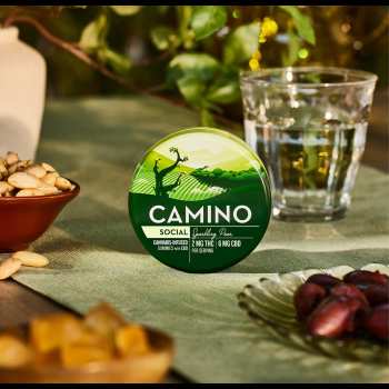 Camino Sparkling Pear 2:6 THC:CBD "Social" Gummies 3 Camino Sparkling Pear 2:6 THC:CBD "Social" Gummies 1