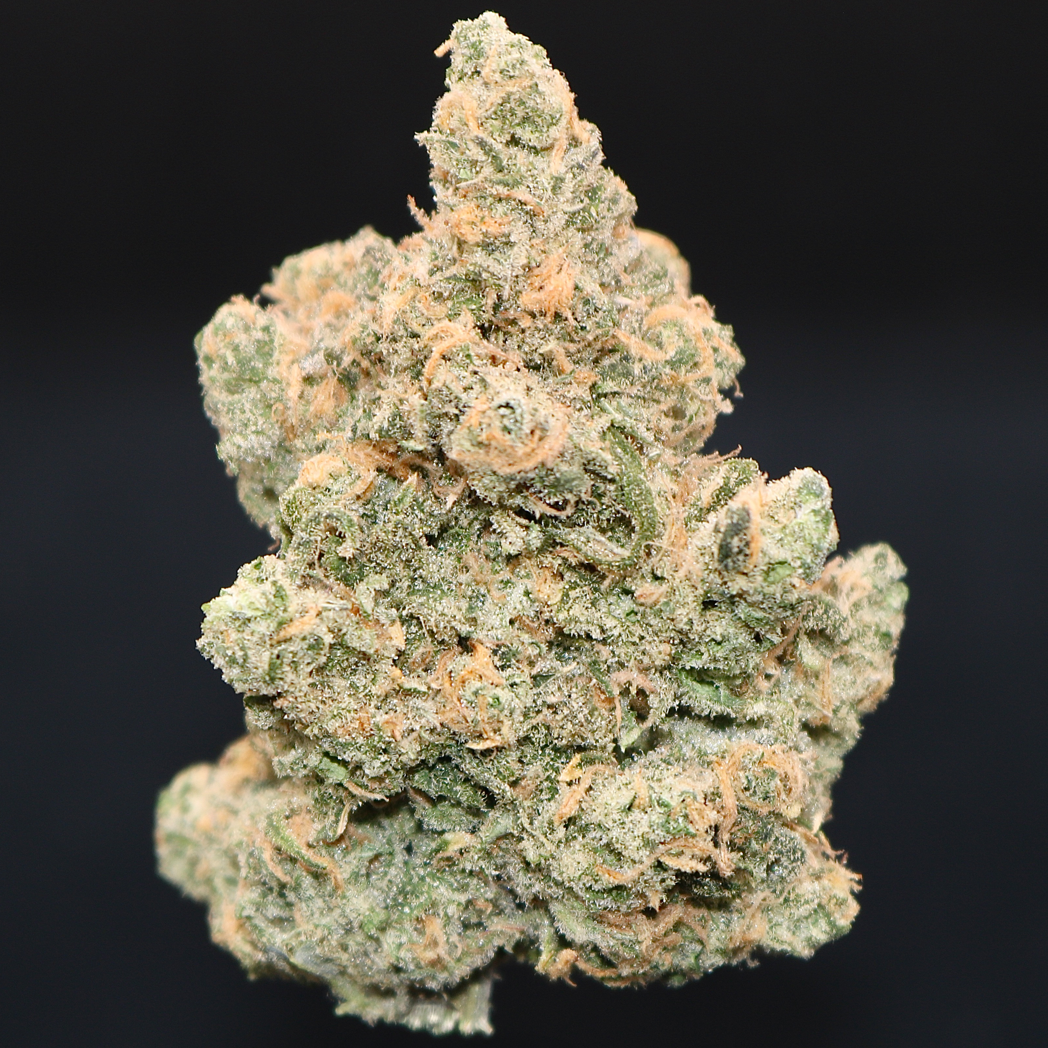 Blue Dream 1 Blue Dream