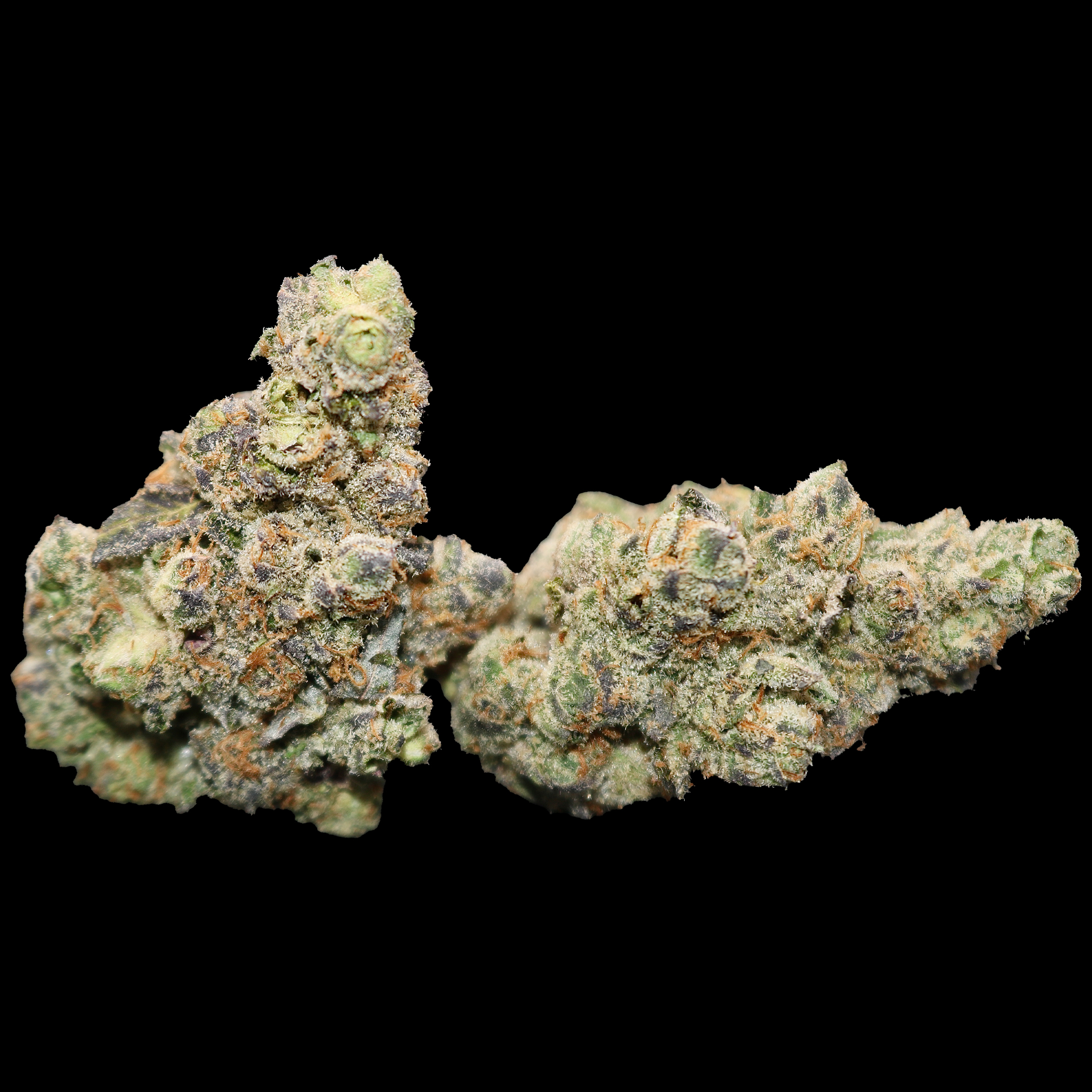 Jedi OG -Private Reserve 3 Jedi OG -Private Reserve - Image 3