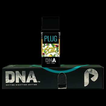 PLUG DNA: Limoncello 3 PLUG DNA: Limoncello 1