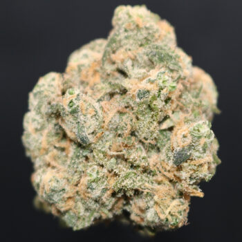 Blue Magoo