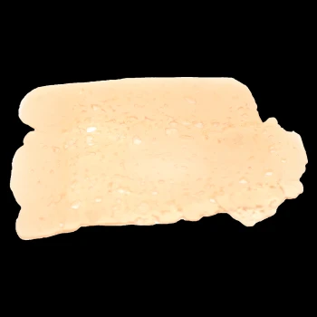 Goldiez Shatter - Hash Burger (0.5 Oz.) 3 Goldiez Shatter - Hash Burger (0.5 Oz.) 1