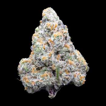 Connected - Jack of Diamonds | Indoor Flower (3.5g) 3 Connected - Jack of Diamonds | Indoor Flower (3.5g) 1