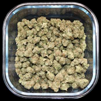 Motor Breath OG Smalls - ($150 Oz. Deal)