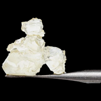 Raw Garden - Puffy Payton Refined Live Resin™ Diamonds 3 Raw Garden - Puffy Payton Refined Live Resin™ Diamonds 1