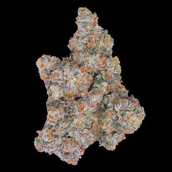 Connected - NightShade | Indoor Flower (3.5g) 3 Connected - NightShade | Indoor Flower (3.5g) 1