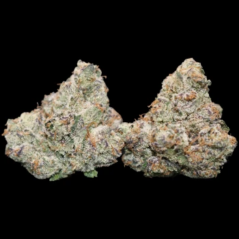 Secret Formula 3 Secret Formula 1