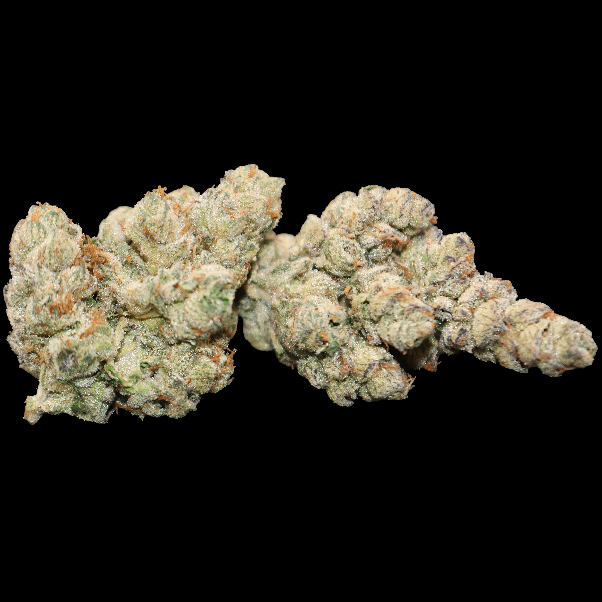 Alien Cookies 2 Alien Cookies - Image 2