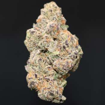 Blue Nerdz - Get 1 Oz. for $120