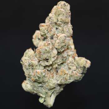 Alien Cookies