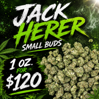 Alternative view of Jack Herer Smalls - ($120 Oz. Deal)