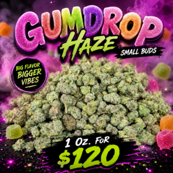 Gumdrop Haze Small Buds - 1 Oz. for $120
