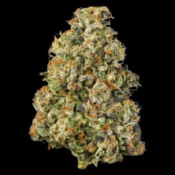 Connected - Gascotti | Premium Flower (3.5g) 3 Connected - Gascotti | Premium Flower (3.5g) 1