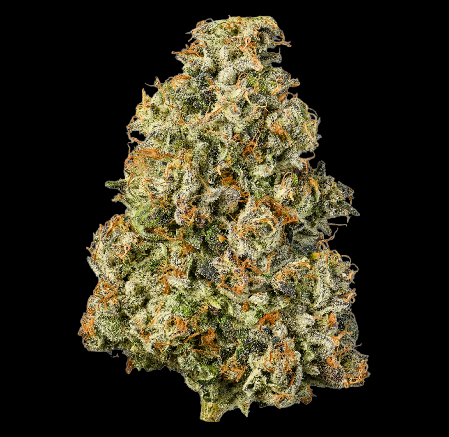 Connected - Gascotti | Premium Flower (3.5g) 2 Connected - Gascotti | Premium Flower (3.5g) - Image 2