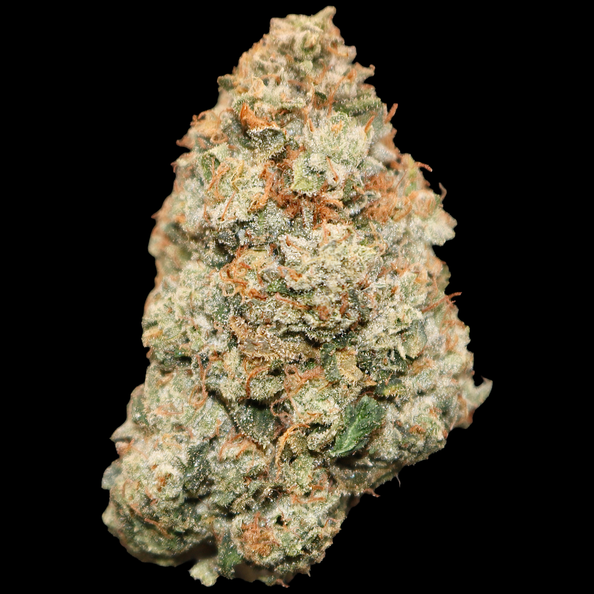 Hawaiian OG - ($200 Oz. Deal) 1 Hawaiian OG - ($200 Oz. Deal)