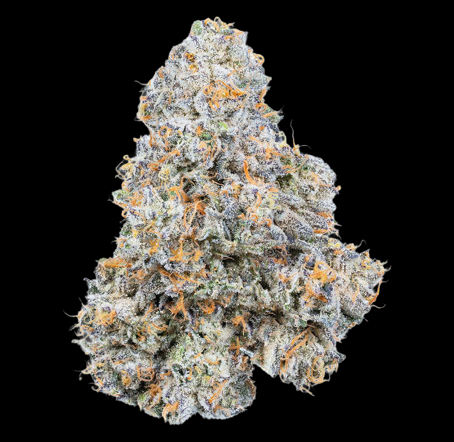 Connected - Permanent Marker | Premium Flower (3.5g) 2 Connected - Permanent Marker | Premium Flower (3.5g) - Image 2
